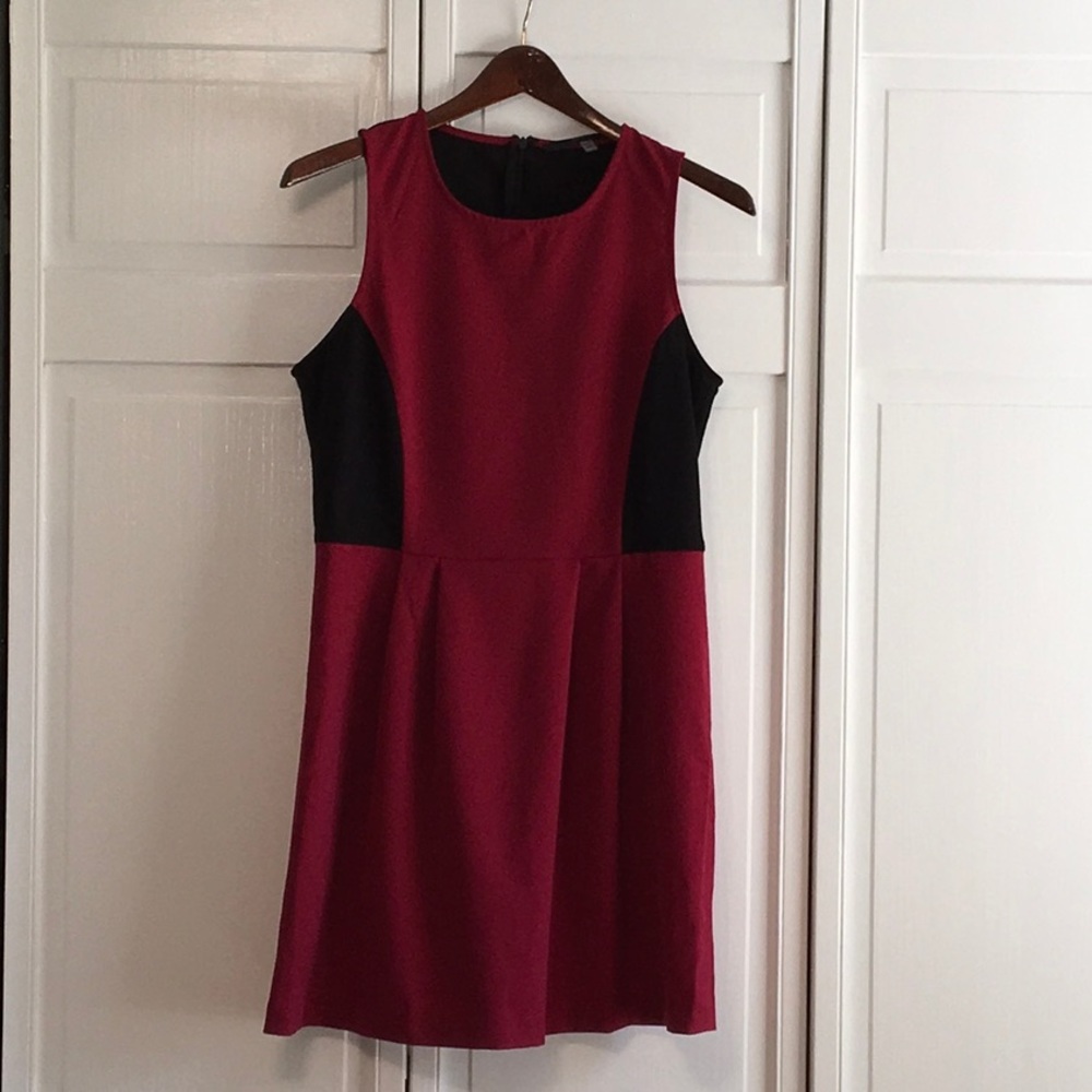 NWOT Raspberry & Black Sheath Dress